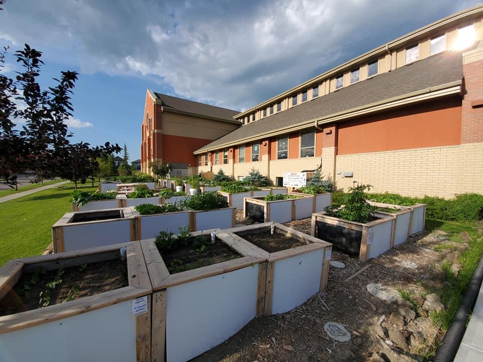 St. Albert the Great Community Garden